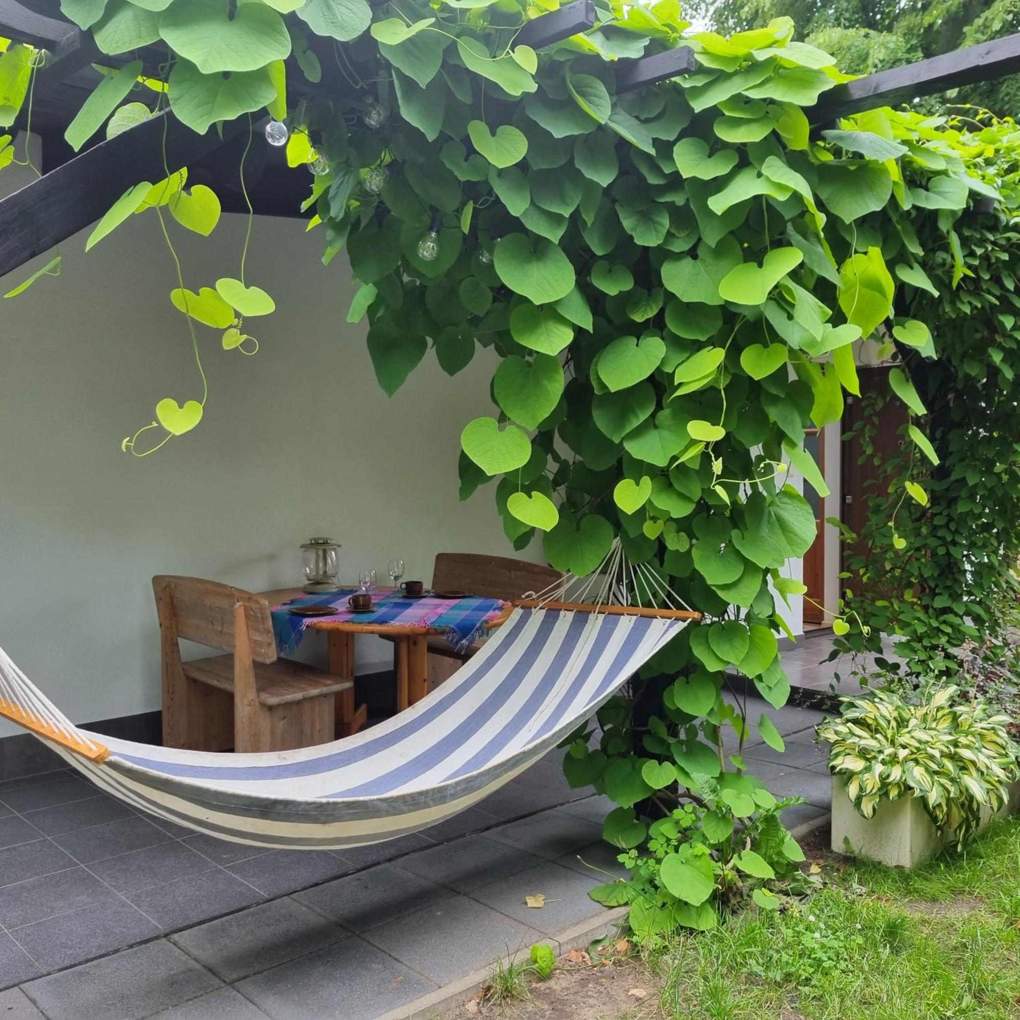 Pokoje I Apartamenty Przy Sosnowej Poddabie Ngoại thất bức ảnh
